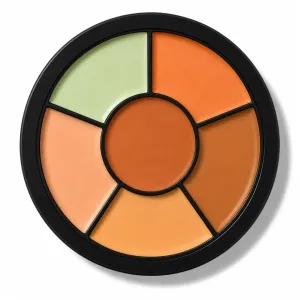 Swiss Beauty Cover Play 6 in 1 Concealer Palette-01 Light To Medium