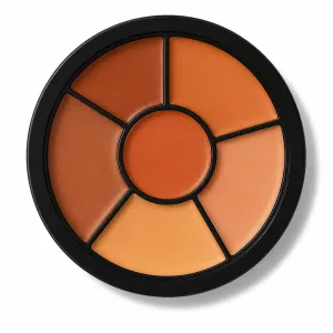 Swiss Beauty Cover Play 6 in 1 Concealer Palette – 02 Medium To Dark